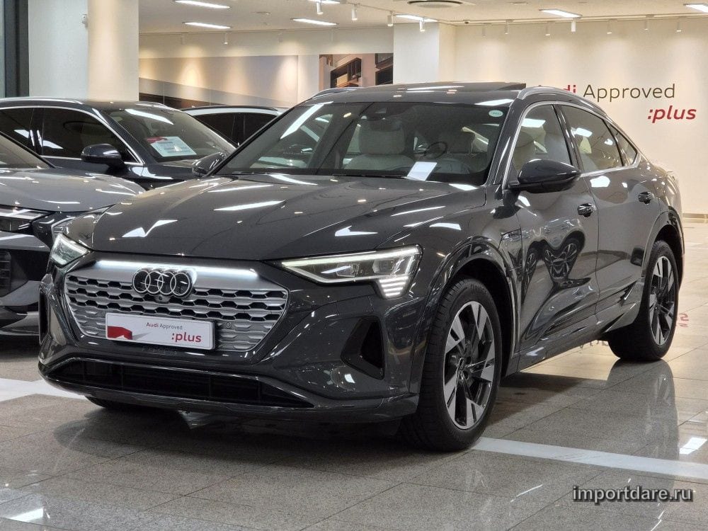 Audi Q8 e-tron 2024