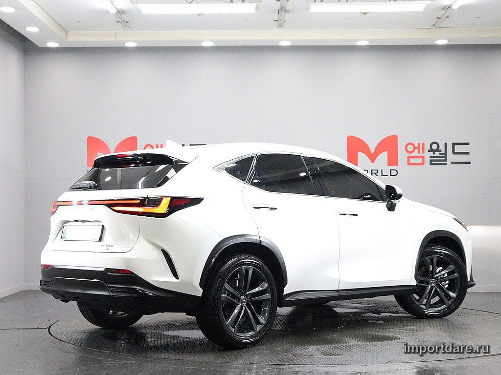 LEXUS NX350H 2025 — 22 232 км, Корея — под ключ — фото 3