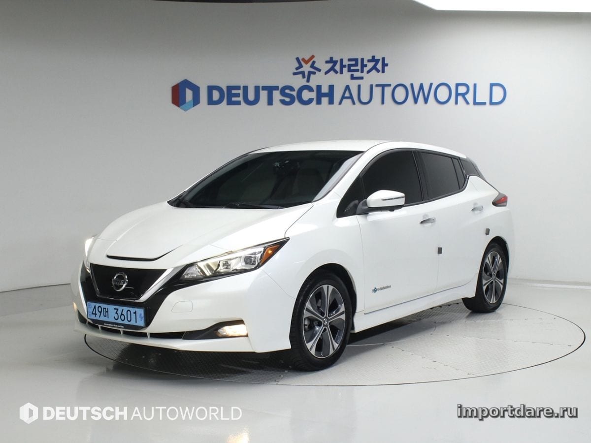 Nissan Leaf 2019