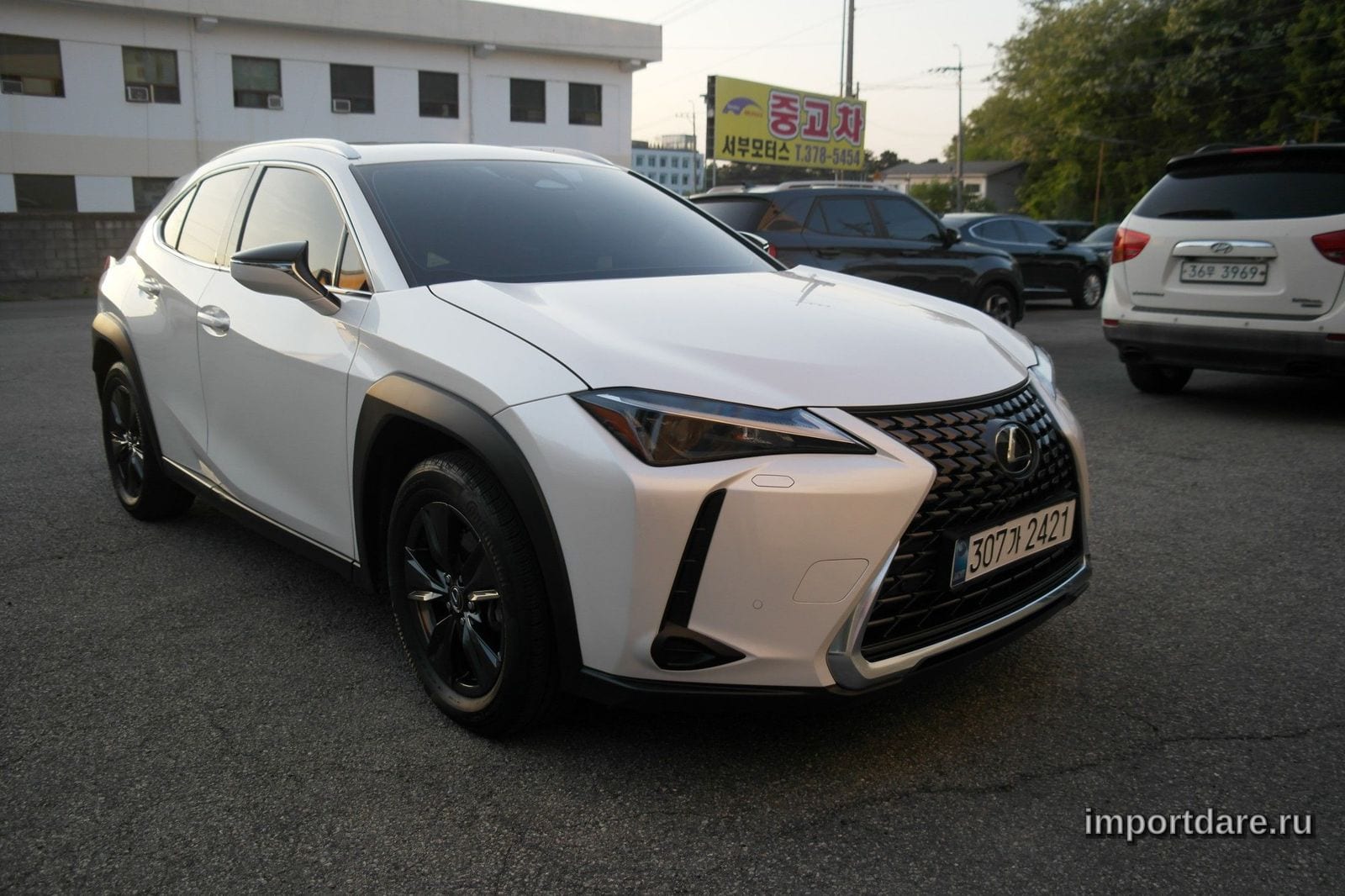 Lexus Ux300h 2024