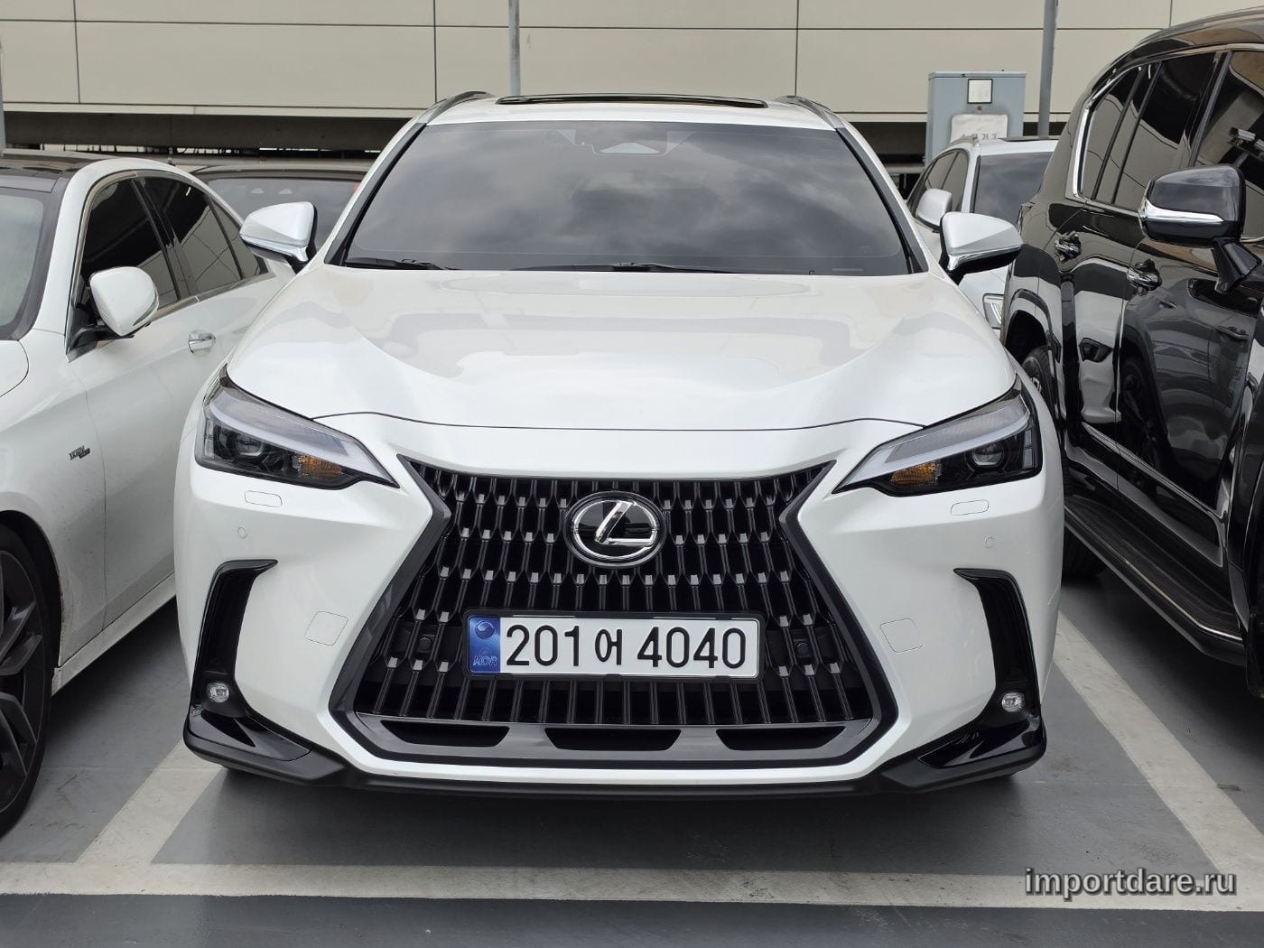 Lexus Nx 2025