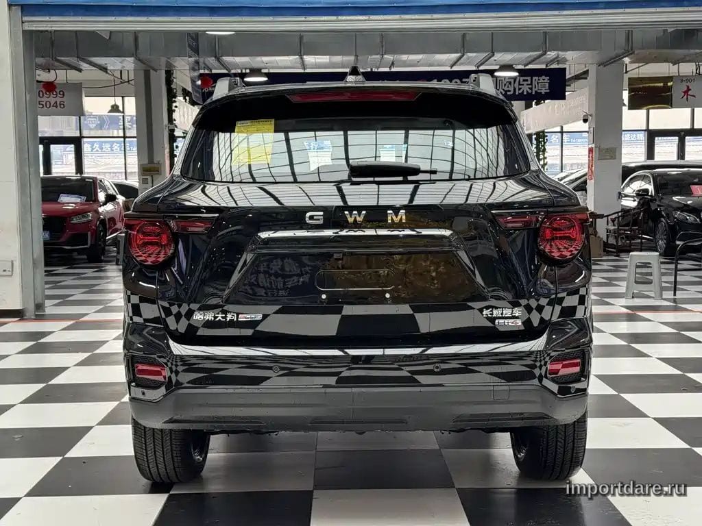 HAVAL DAGOU II NEW ENERGY 2026 — 100 км, чёрный, Китай — под ключ — фото 8