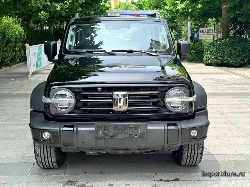 Tank 300 New Energy сбоку