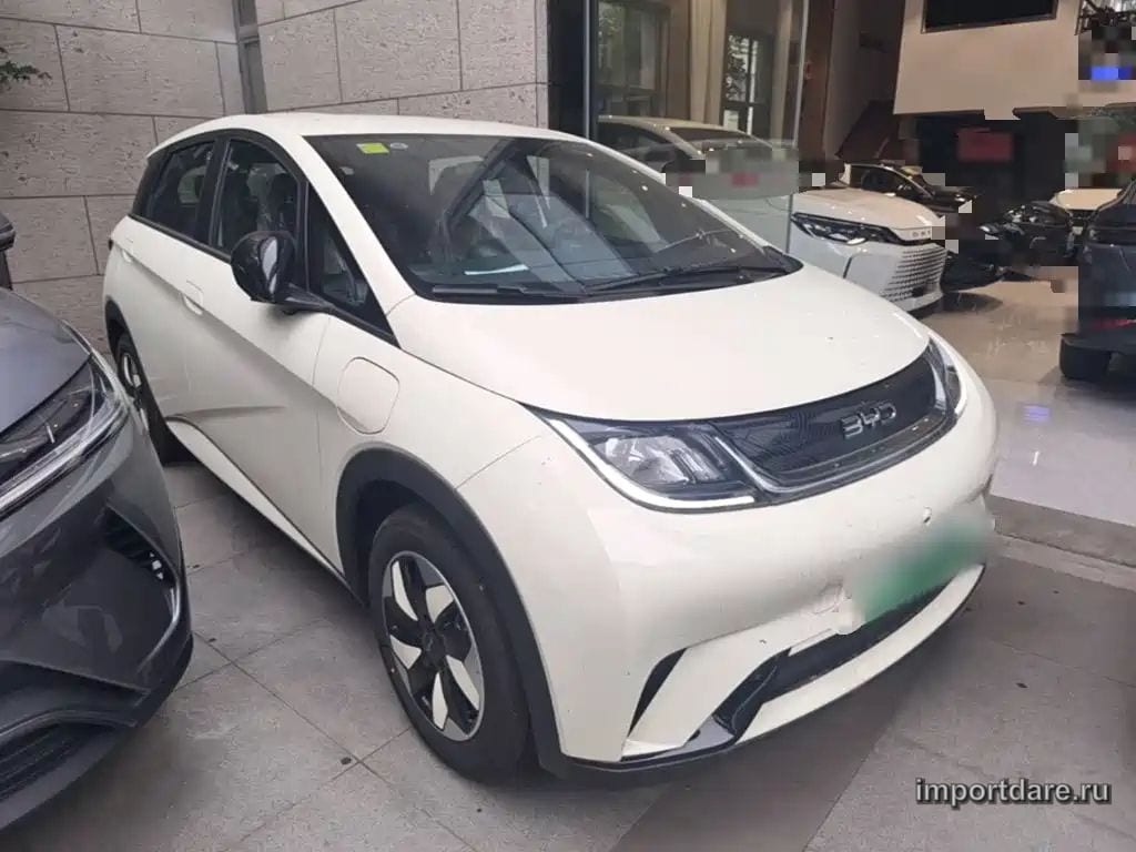 Byd Dolphin сзади