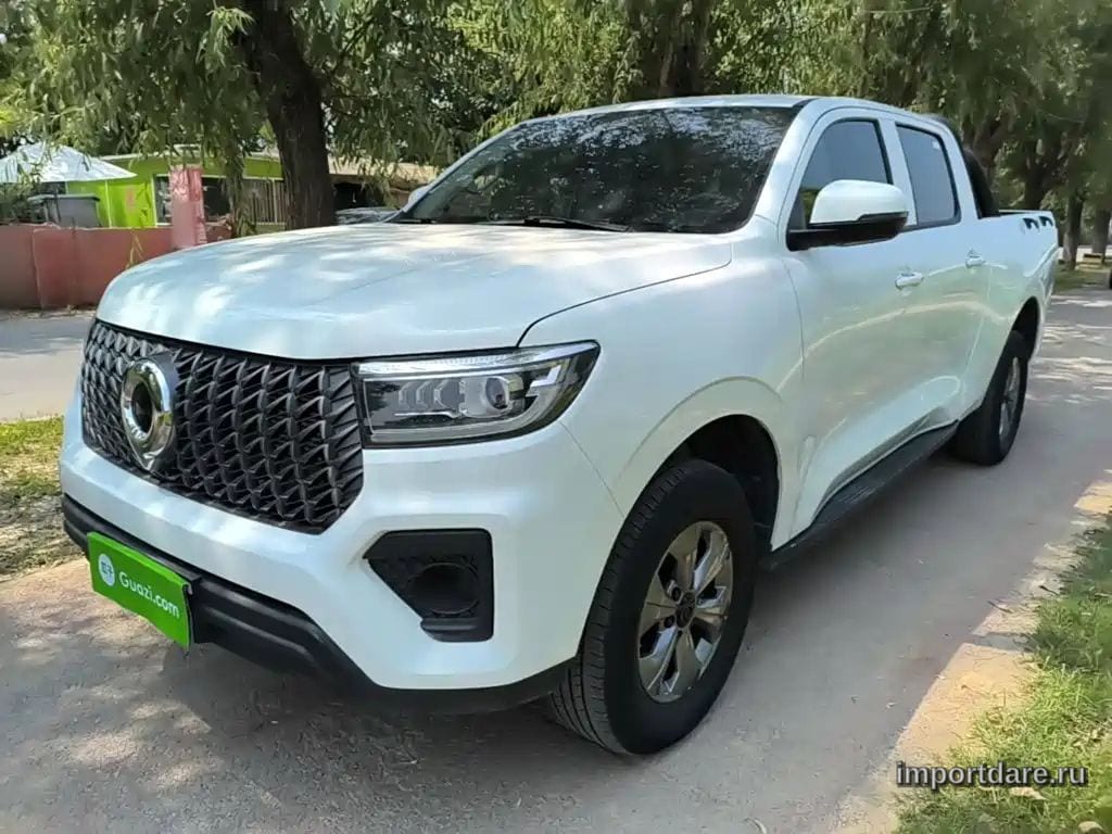 Great Wall Poer 2025