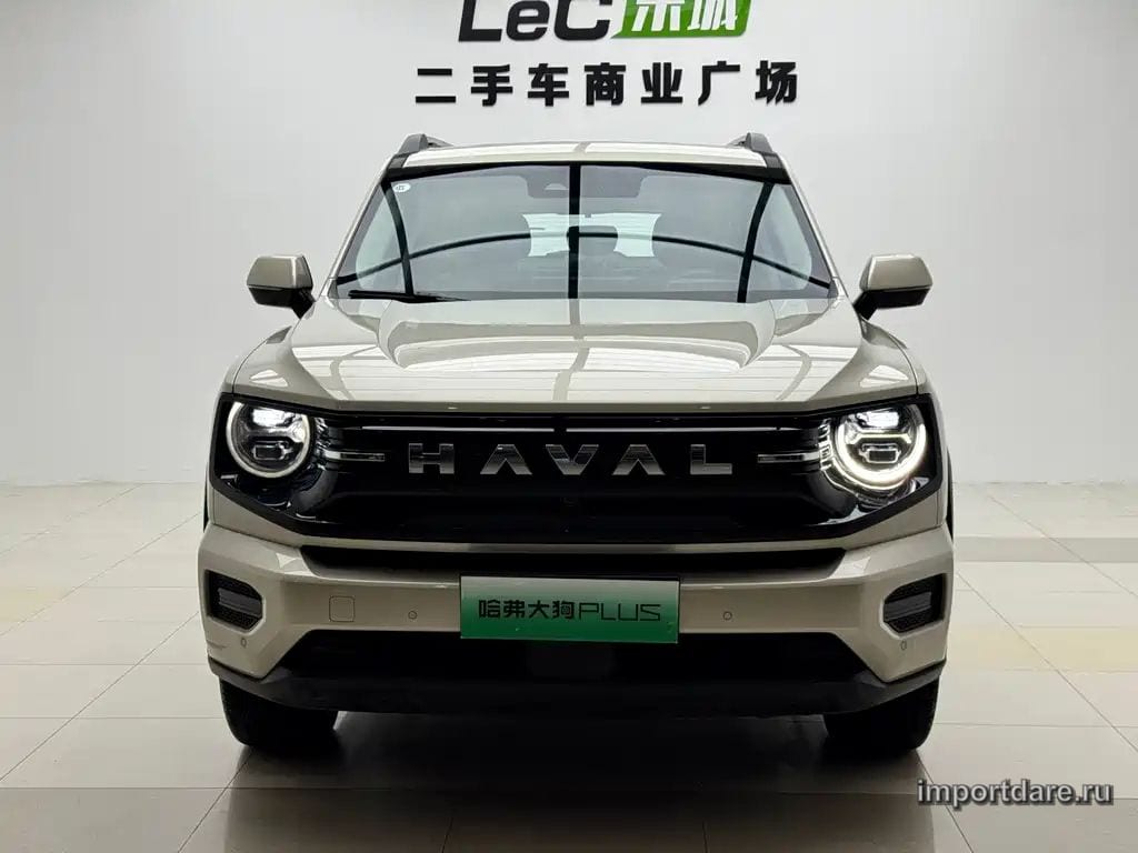 HAVAL DAGOU II NEW ENERGY 2026 — 10 000 км, серебристый, Китай — под ключ — фото 2