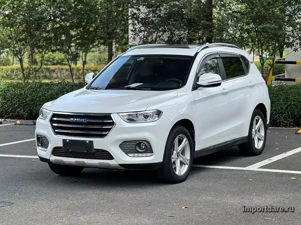 HAVAL H2 2019 — 45 000 км, белый, Китай — под ключ — фото 1