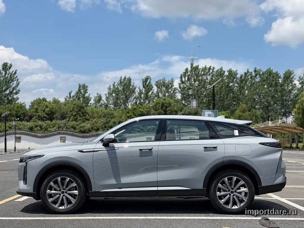 Exeed Yaoguang C-Dm сзади