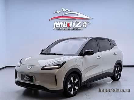 Wuling Bingo PLUS 2024