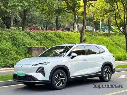 Wuling Xingguang 2024