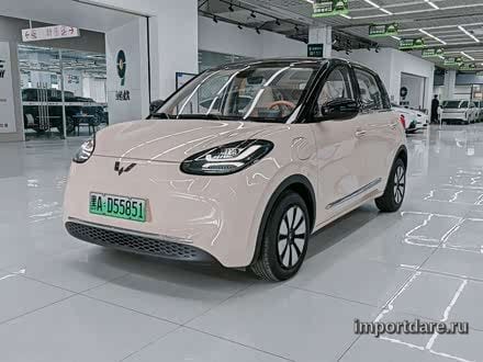 Wuling Bingo сзади