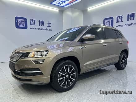Skoda Karoq 2022