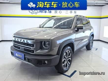Haval Dargo сзади