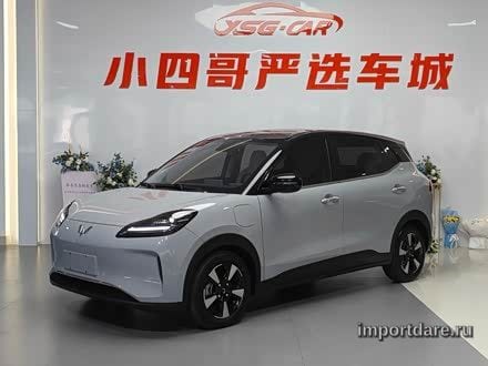 Wuling Bingo PLUS 2024