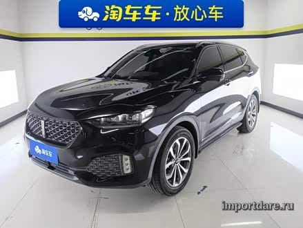 Wey VV6 2020