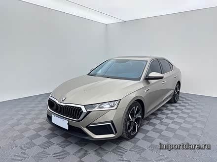Skoda Octavia сзади