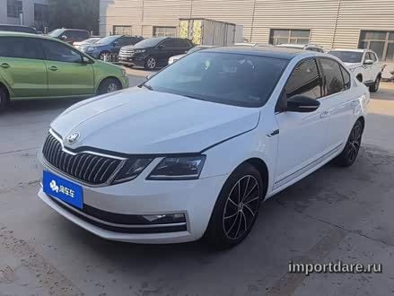 SKODA OCTAVIA 2019 — 103 400 км, Китай — под ключ — фото 1