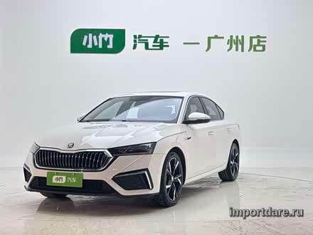 Skoda Octavia 2022