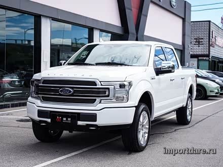 FORD F-150 RAPTOR 2019 — 60 000 км, Китай — под ключ — фото 1
