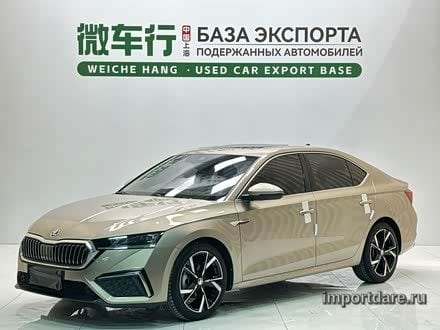 Skoda Octavia детали