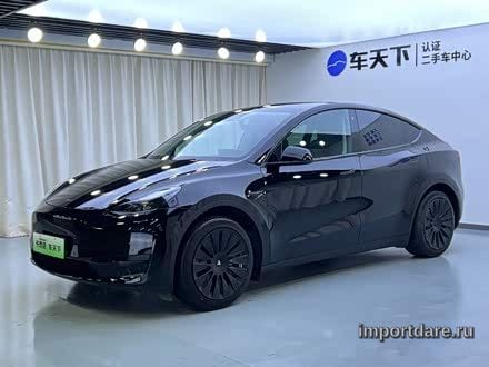 TESLA MODEL Y 2022 — 56 000 км, Китай — под ключ — фото 1