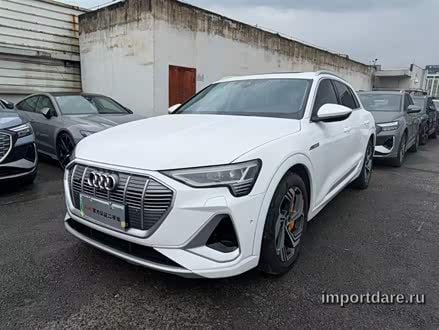 Audi e-tron 2021