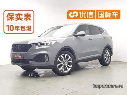 Wey VV6 2018