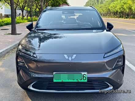 Wuling Xingguang сзади