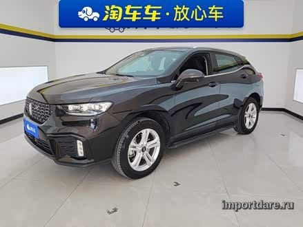 Wey VV5 2020