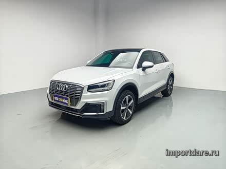 Audi Q2L e-tron 2019