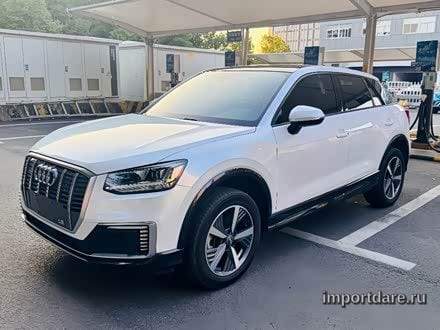 Audi Q2L e-tron 2021