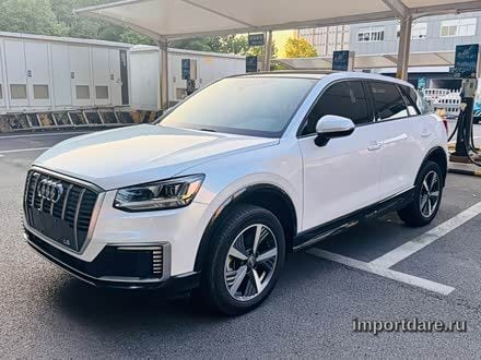 Audi Q2L e-tron 2021