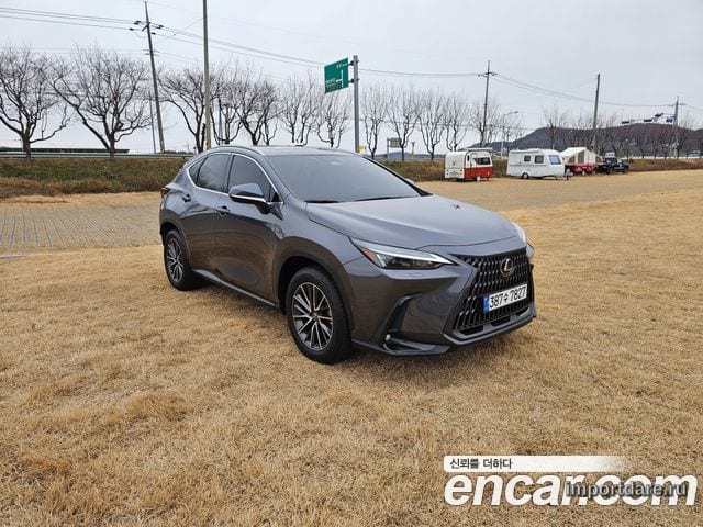 LEXUS NX450H+ 2024 — 23 572 км, серый, Корея — под ключ — фото 1