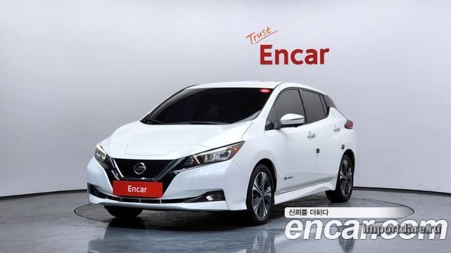Nissan Leaf 2019