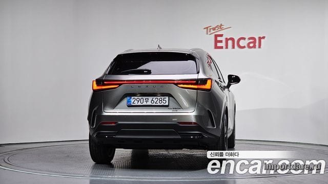LEXUS NX350H 2025 — 3 361 км, серебристо-серый, Корея — под ключ — фото 4