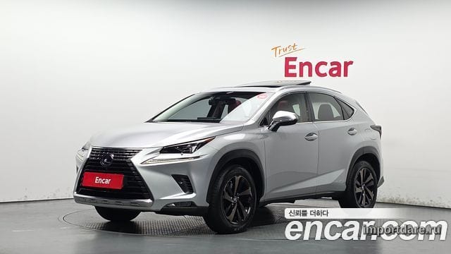 LEXUS NX300H 2019 — 99 544 км, серебристый, Корея — под ключ — фото 1