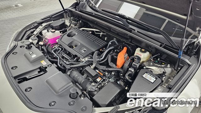 LEXUS NX350H 2025 — 1 178 км, серебристо-серый, Корея — под ключ — фото 6