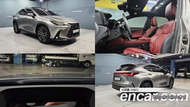 LEXUS NX350H 2025 — 7 000 км, светло-золотистый, Корея — под ключ — фото 1