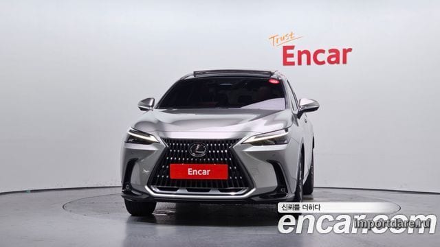 LEXUS NX350H 2025 — 17 685 км, серебристо-серый, Корея — под ключ — фото 3