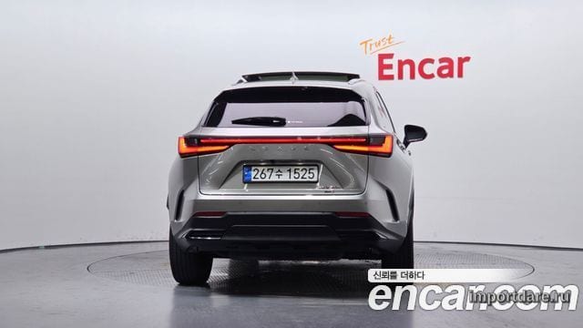 LEXUS NX350H 2025 — 17 685 км, серебристо-серый, Корея — под ключ — фото 4