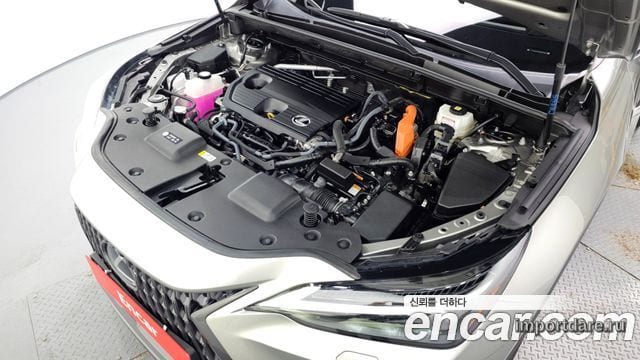 LEXUS NX350H 2025 — 17 685 км, серебристо-серый, Корея — под ключ — фото 6
