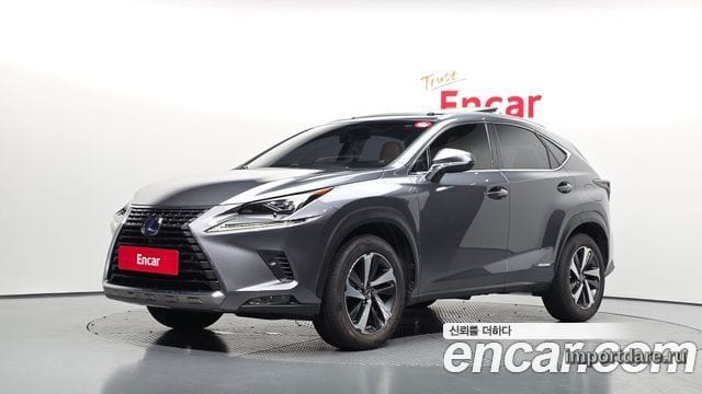 LEXUS NX300H 2018 — 94 800 км, серый, Корея — под ключ — фото 1