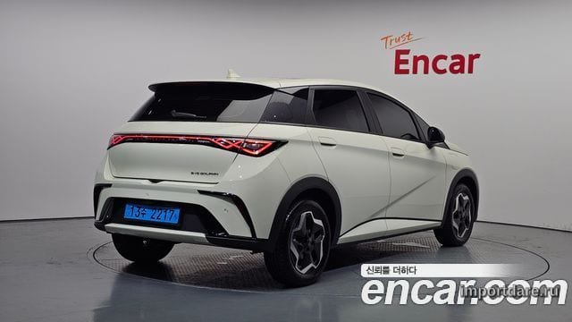 BYD DOLPHIN 2026 — 1 657 км, белый-перламутр, Корея — под ключ — фото 2