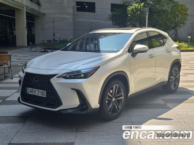 LEXUS NX350H 2025 — 7 000 км, белый, Корея — под ключ — фото 1