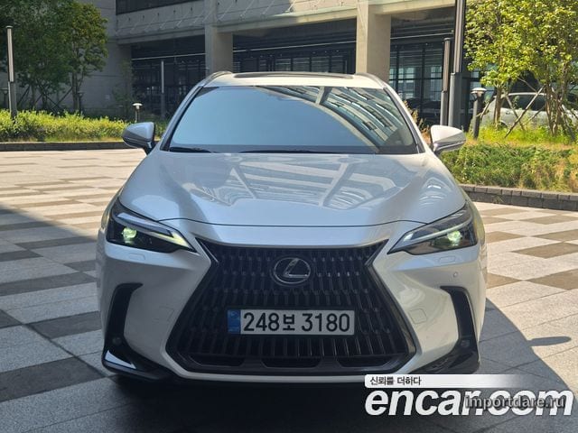 LEXUS NX350H 2025 — 7 000 км, белый, Корея — под ключ — фото 3