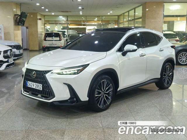 LEXUS NX350H 2024 — 42 601 км, белый, Корея — под ключ — фото 1