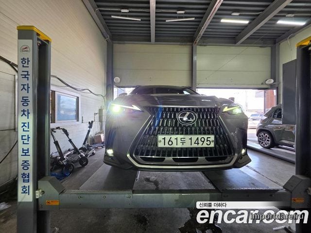 LEXUS NX350H 2022 — 63 013 км, светло-золотистый, Корея — под ключ — фото 1