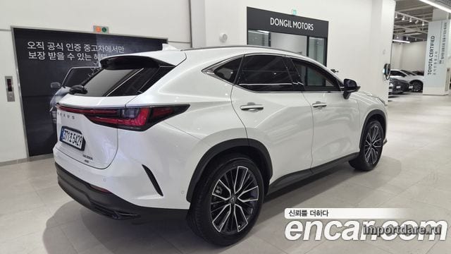 LEXUS NX350H 2025 — 3 924 км, белый, Корея — под ключ — фото 2