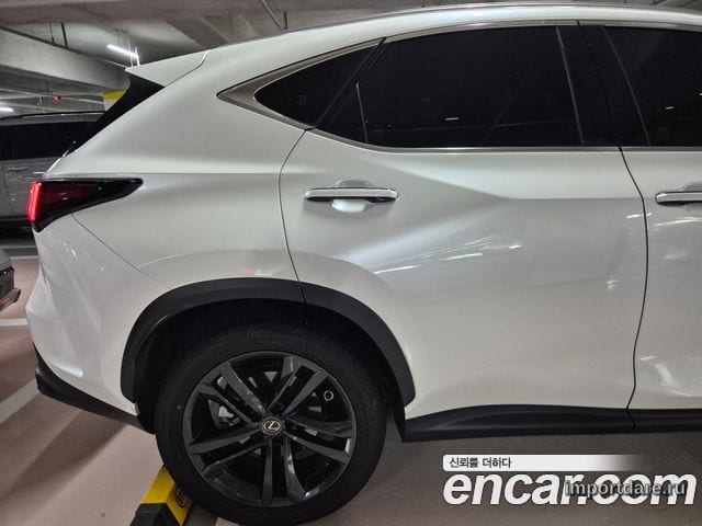 LEXUS NX350H 2025 — 12 200 км, белый, Корея — под ключ — фото 4