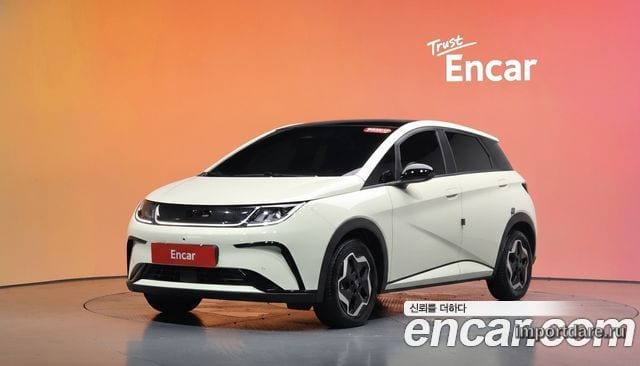 BYD DOLPHIN 2026 — 1 732 км, белый-перламутр, Корея — под ключ — фото 2